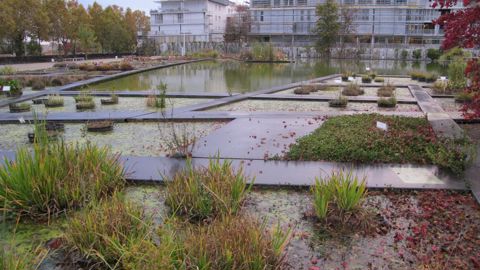 Jardin aquatique du jardin botanique de Bordeaux © Valérie Vidril